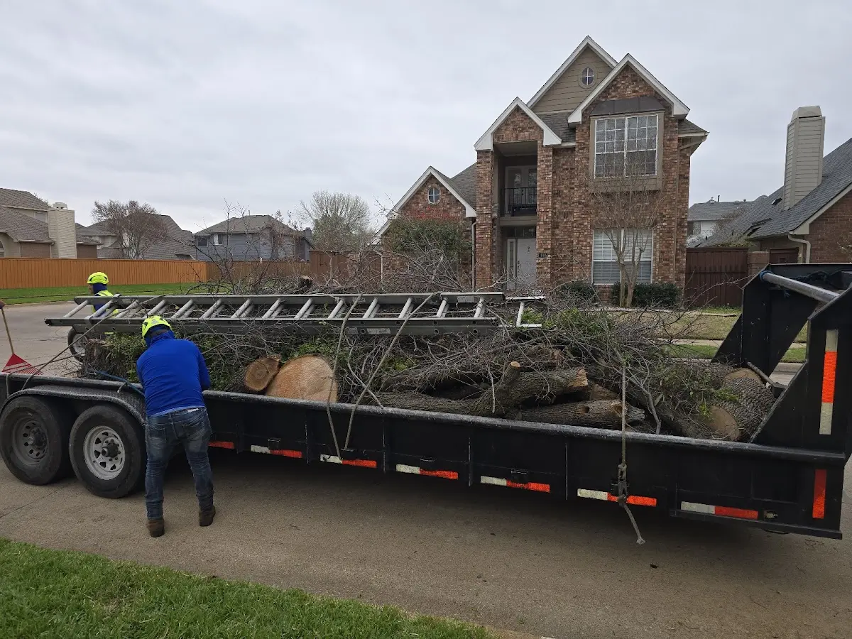Expert Lot Clearing with proper safety equipment in Friedheim